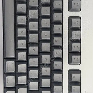 리얼포스 R3 FOR MAC(R3HH11) 텐키리스 팝니다
