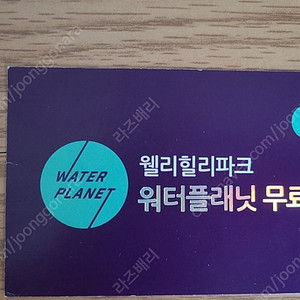 웰리힐리파크 워터플래닛 이용권 팝니다