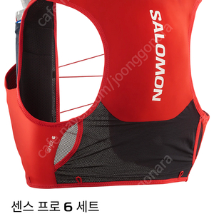 살로몬 센스 프로 6 트레일러닝 베스트