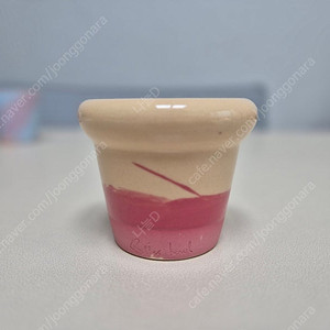 블리스볼 홀리베리 유약 콩분 화분 새상품