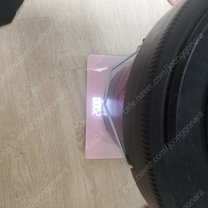 레드씨 코랄프로 22KG(리프안경 포함)
