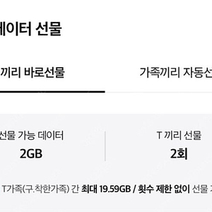 Sk데이터 2기가