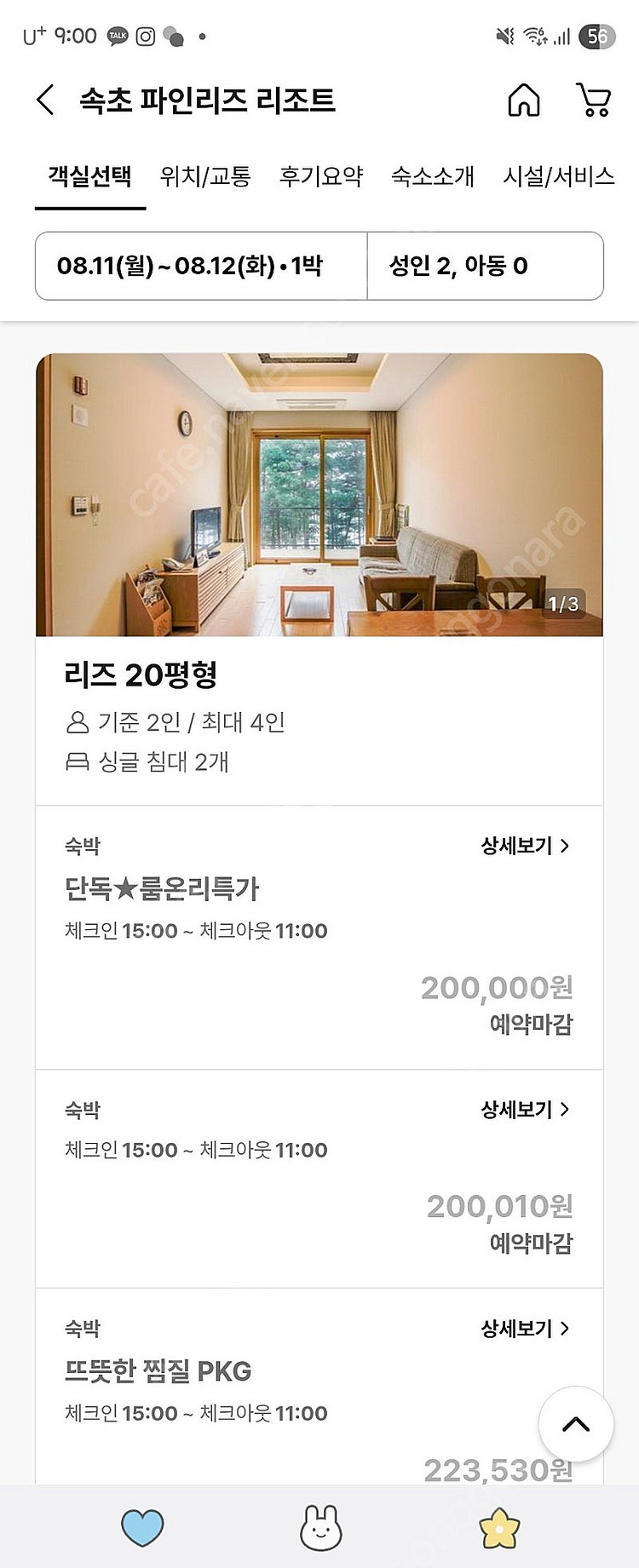 오늘 8/11(월) 강원도 고성 파인리즈 20평 1실--0