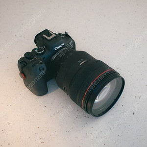 캐논 RF 28-70 F2 L USM (왕계륵)