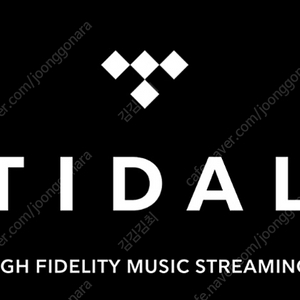 Tidal 타이달 한달 2500원 패밀리