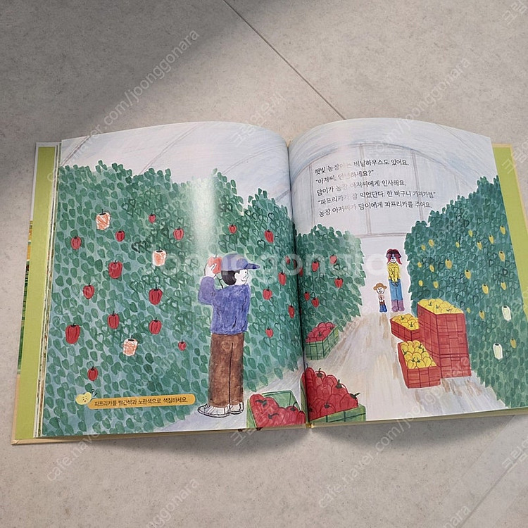 웅진 한걸음먼저 사회탐방 26권 택포--5