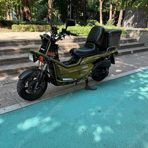 혼다 ps250