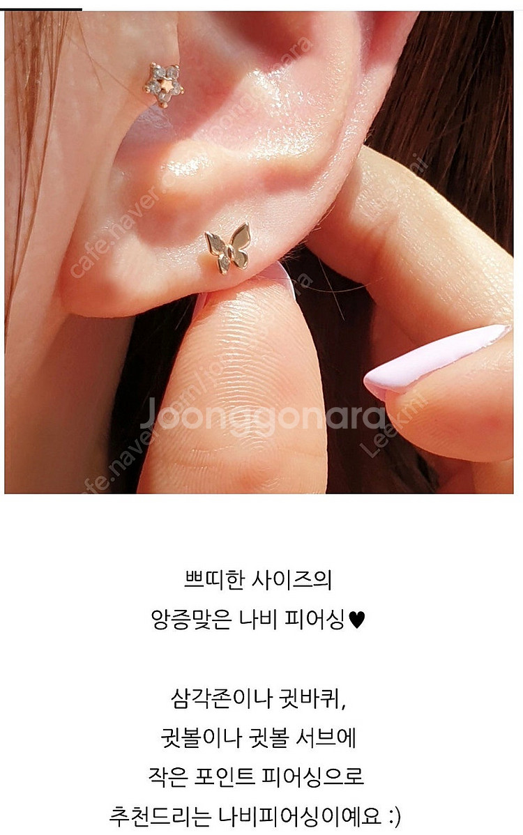 14k 쁘띠 나비 피어싱--0