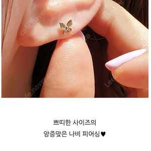 14k 쁘띠 나비 피어싱