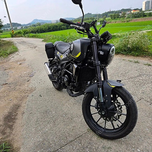베넬리 레온치노 250 ABS