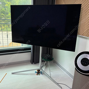 (최저가) 2021년형 LG OLED 울트라HD 65인치 TV