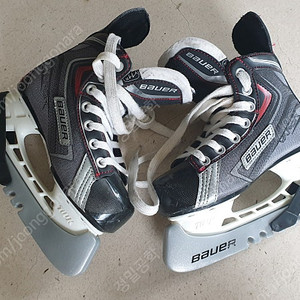 아이스하키 스케이트 바우어 Bauer/베이퍼 Vapor X30/사이즈 Y11 (191 mm)