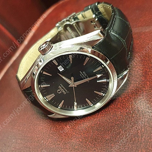 오메가 아쿠아테라 42mm
