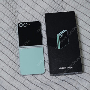 갤럭시 Z플립6 256GB 민트 자급제 풀박스(개인)