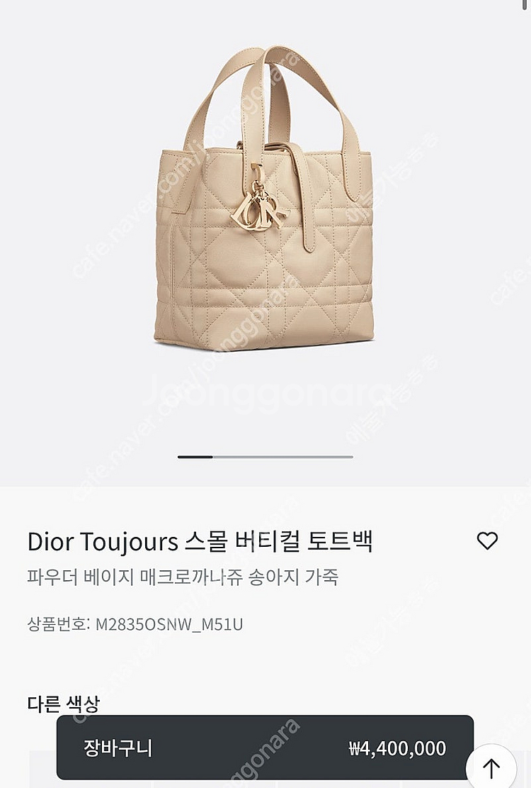 디올 뚜주흐 가방--0