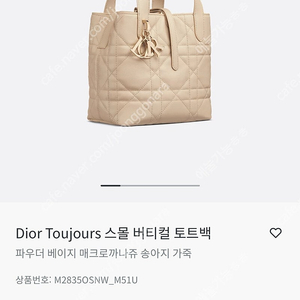디올 뚜주흐 가방
