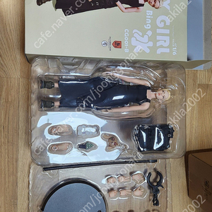 (가격내림)Mr.Z 시티걸 뮤 & 빙 12인치 피규어