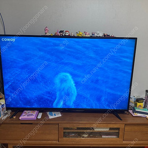 프리즘 PT650UD 65인치 4K TV 팝니다.