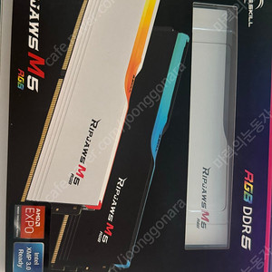 G SKILL rgb ddr5 5200 48gb X 2 96gb 화이트 램