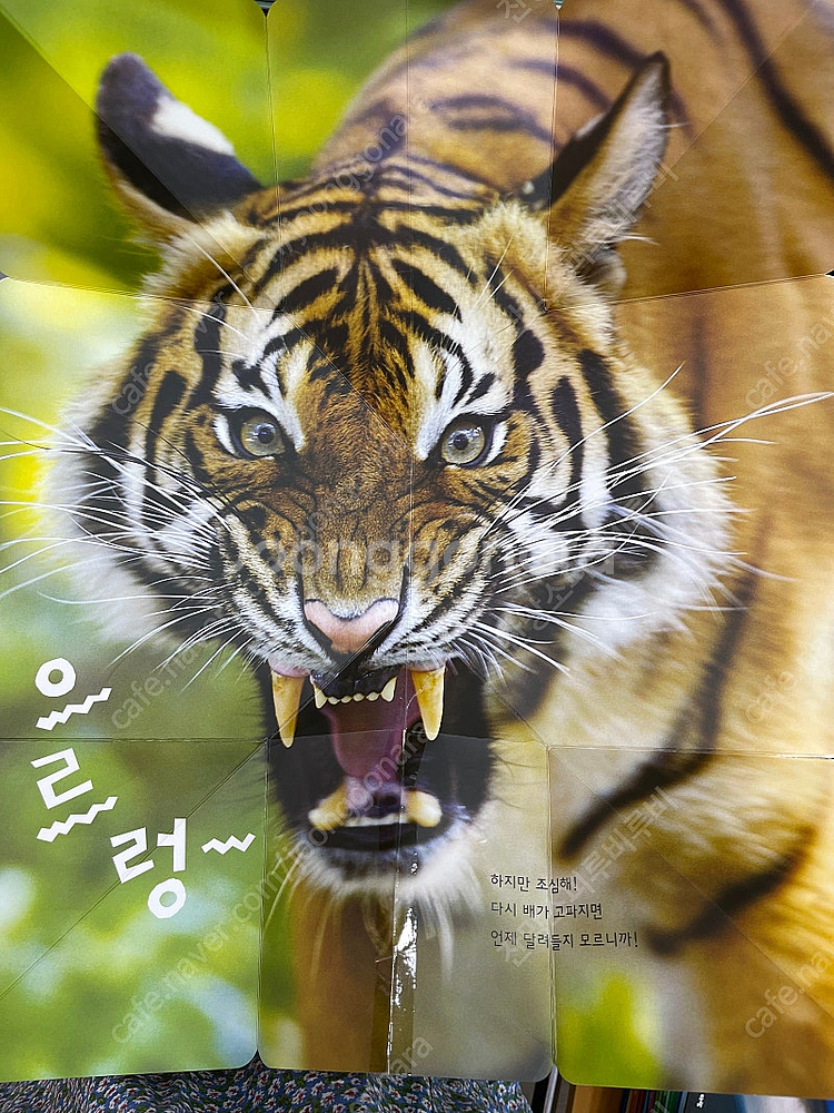 우리자연이랑 최신개정판 상태 좋아요--6