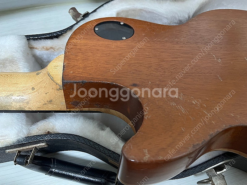 [깁슨] Gibson Zakk Wylde 잭와일드 버즈...--1