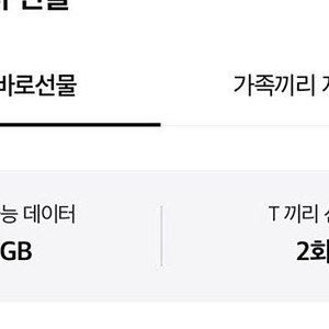 SK데이터 2기가