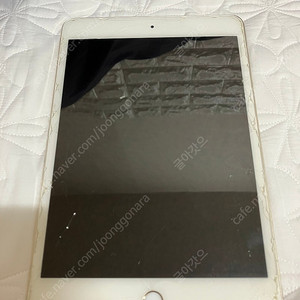 아이패드 미니4 64g