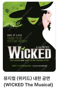 뮤지컬 〈위키드〉 내한 공연(WICKED The Mus...--0