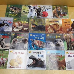 세이펜 통통 자연관찰