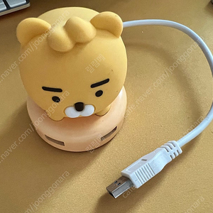 카카오프렌즈 라이언 usb 허브