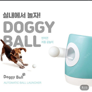 자동공놀이 도기볼 애견장난감 놀이기구 강아지공