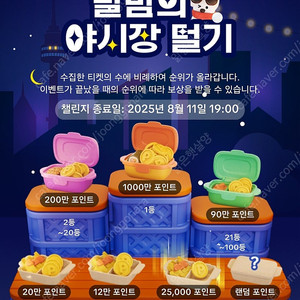 마지막 미접 야시장 5개