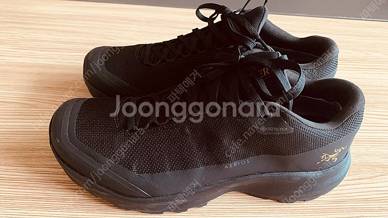 아크테릭스 에어리어스 FL2 GTX--0