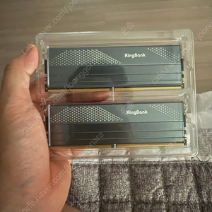 킹뱅크 RAM DDR5 6800MHz 24GBx2