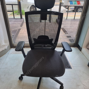 시디즈 T50 HLDA (일룸)