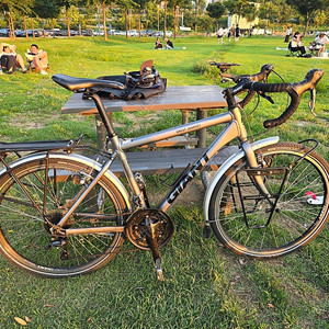 여행용 자전거 (자이언트 그레이트 져니) _ M 사이즈 _ 60만원