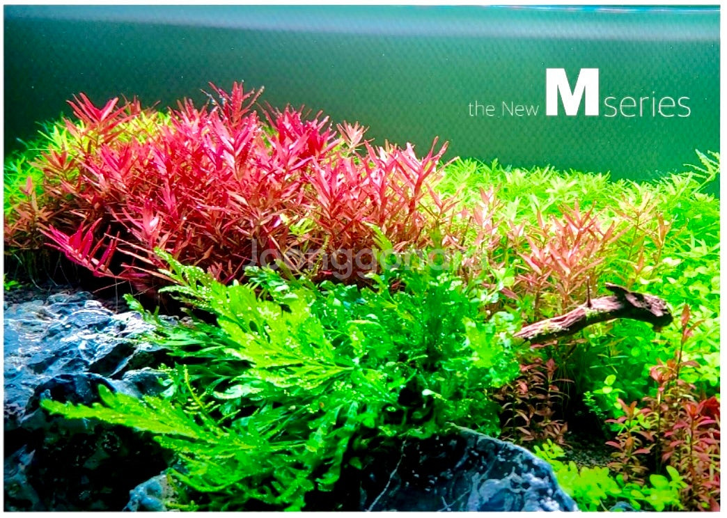 미개봉 명품 누니큐 RGB M60+, M120+ 와이파...--2