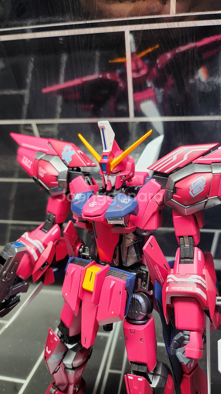 건프라 MG, RG, HG 도색작 여러가지 판매합니다.--6