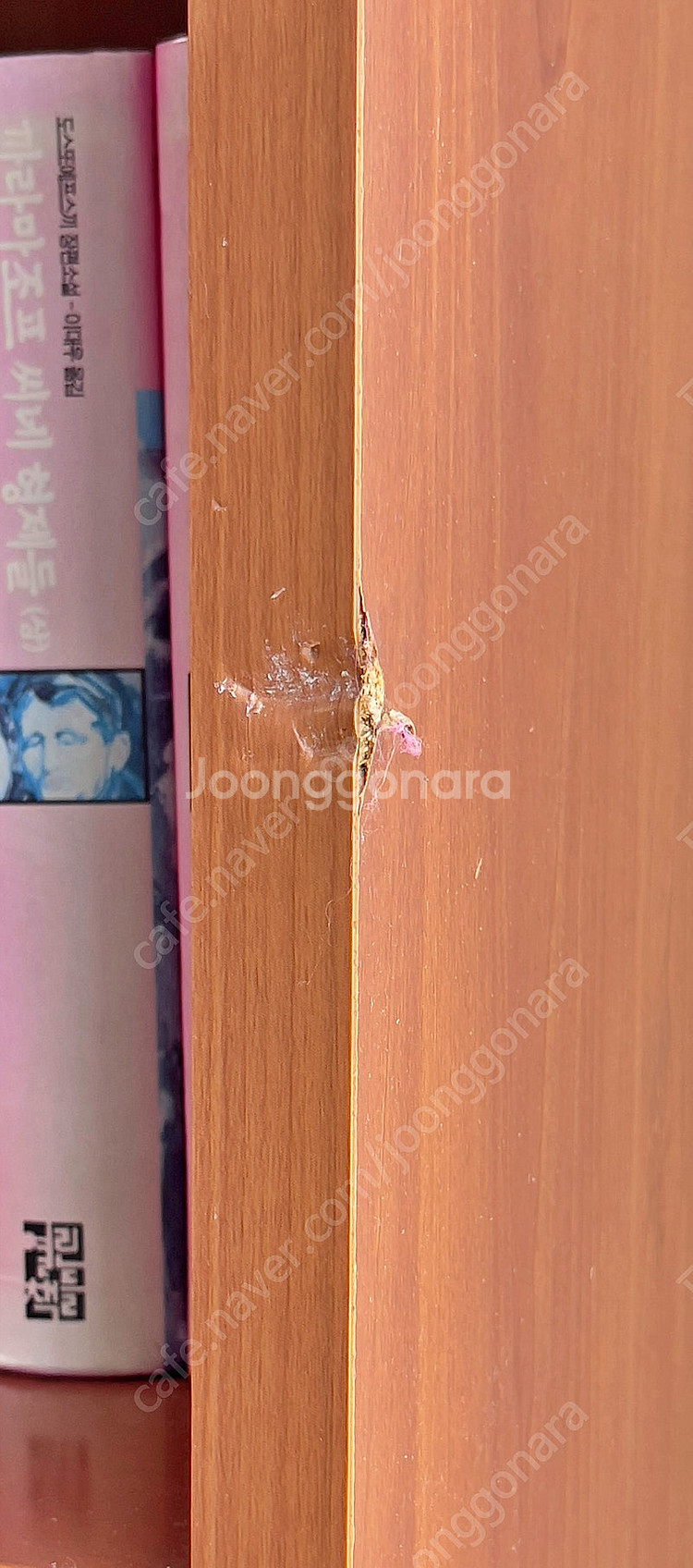 [무료나눔] 보루네오 6단 책장 (직접 방문 후, 운반...--5