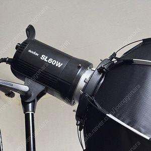 고독스 SL60W 2세트