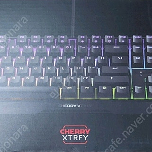 체리키보드 MX 3.1 RGB 블랙 MX2A 스위치 청축