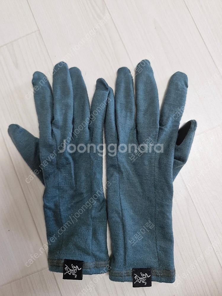 아크테릭스 장갑--0