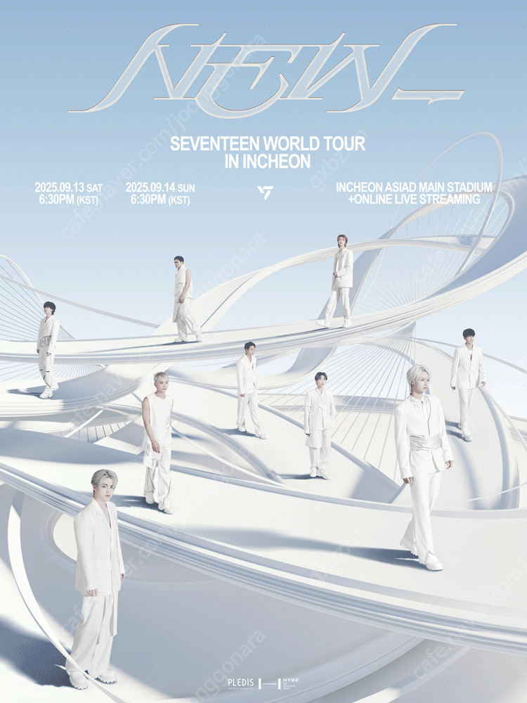 세븐틴 월드 투어 콘서트 SEVENTEEN VIP석 F구역