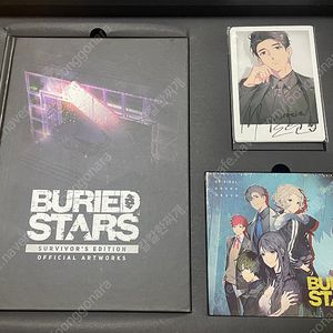 베리드 스타즈 스위치 한정판