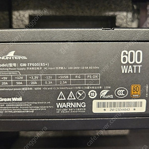 GreatWall SFX 600W 파워