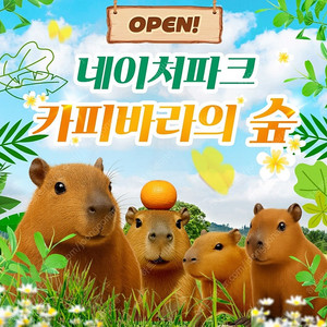 네이처파크 1+1 2인 종일권 판매<바로입장티켓>