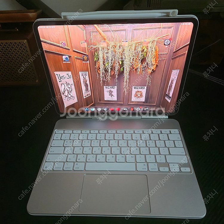 아이패드 프로 M4 13인치 2tb 스탠다드글라스 실버...--0