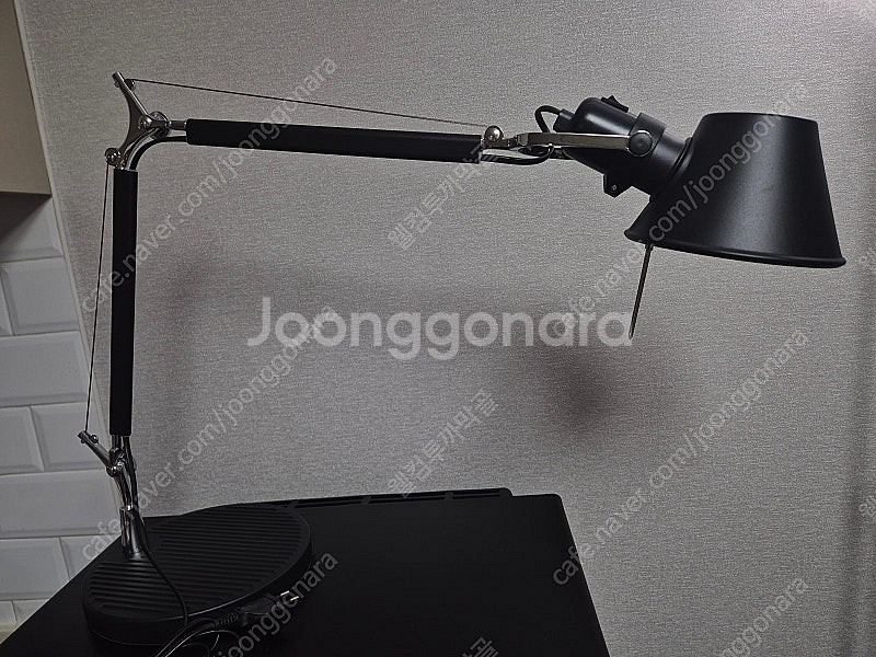 아르떼미데 톨로메오 오마주 (블랙 스탠드/실버 핀자)--1