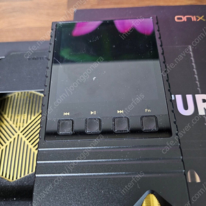 ONIX XM5(오닉스) DAP 판매합니다