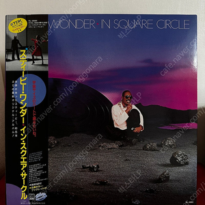 (민트급) Stevie Wonder - In Square Circle(LP)